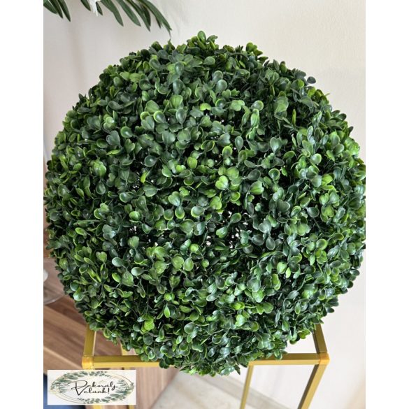 Buxus nagy 