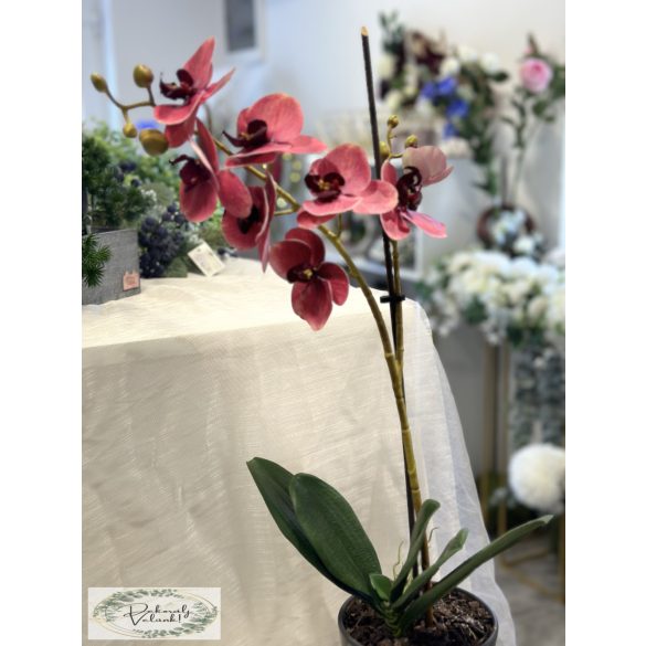 Élethű mű orchidea kerámia kaspóban mályvás