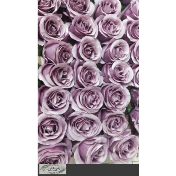 Rózsa fej selyem 6-8 cm  20 db extra minőség vintage lila