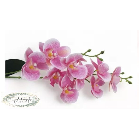 Orchidea szál gumi bimbókkal. levéllel 46 cm, 2 ág rózsaszín