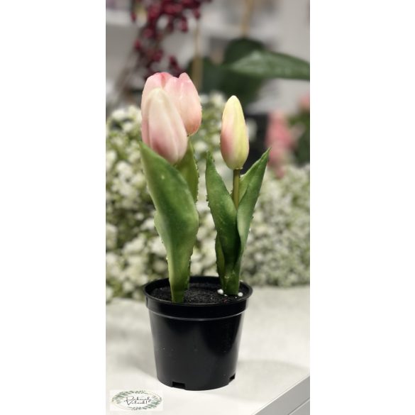 Cserepes mű tulipán 3 ágas 20 cm mű fekete földes  többféle színben 